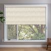 Beige Roller Shades in window