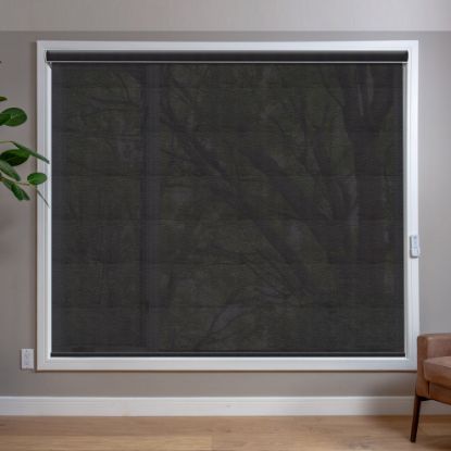 Black Roller Shades in room