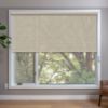 Beige Roller Shades in window