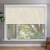 Beige Roller Shades in window