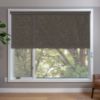 Dark Roller Shades in window