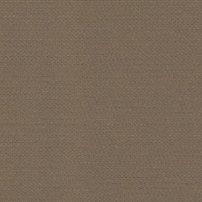 Chestnut Mocha