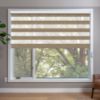 Dark Zebra blinds in window