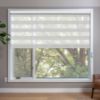 White Zebra blinds in window