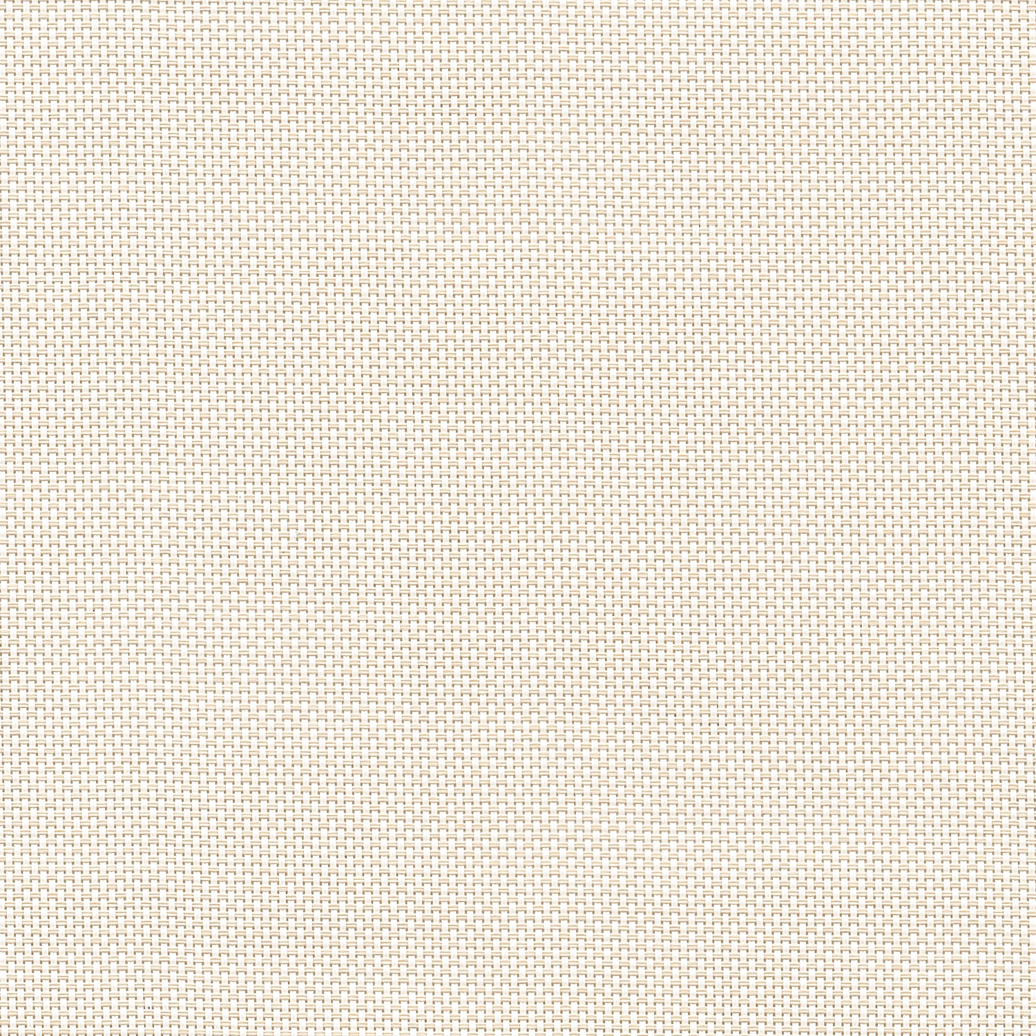 Sahara Pearl