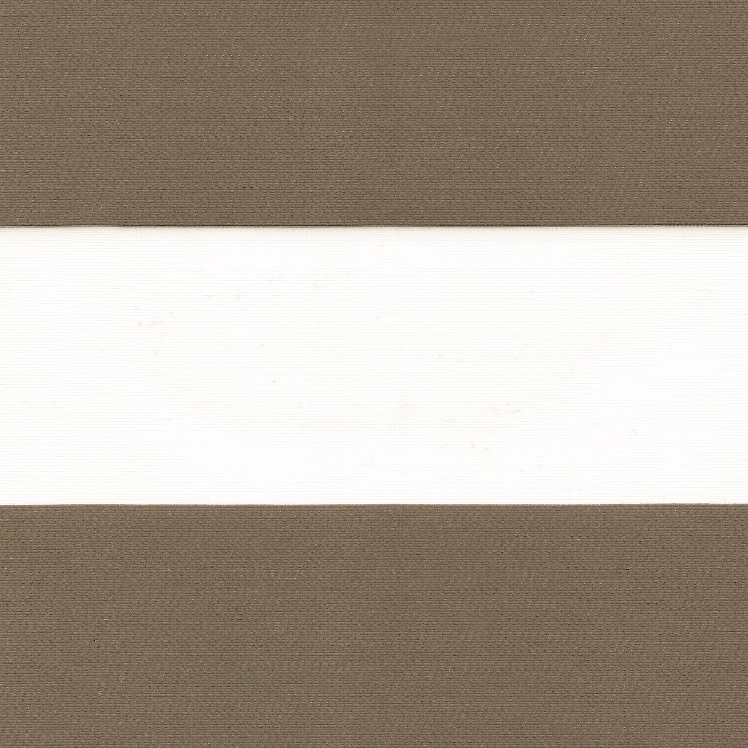 Chestnut Mocha