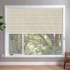 Beige HoneyComb Shades in window