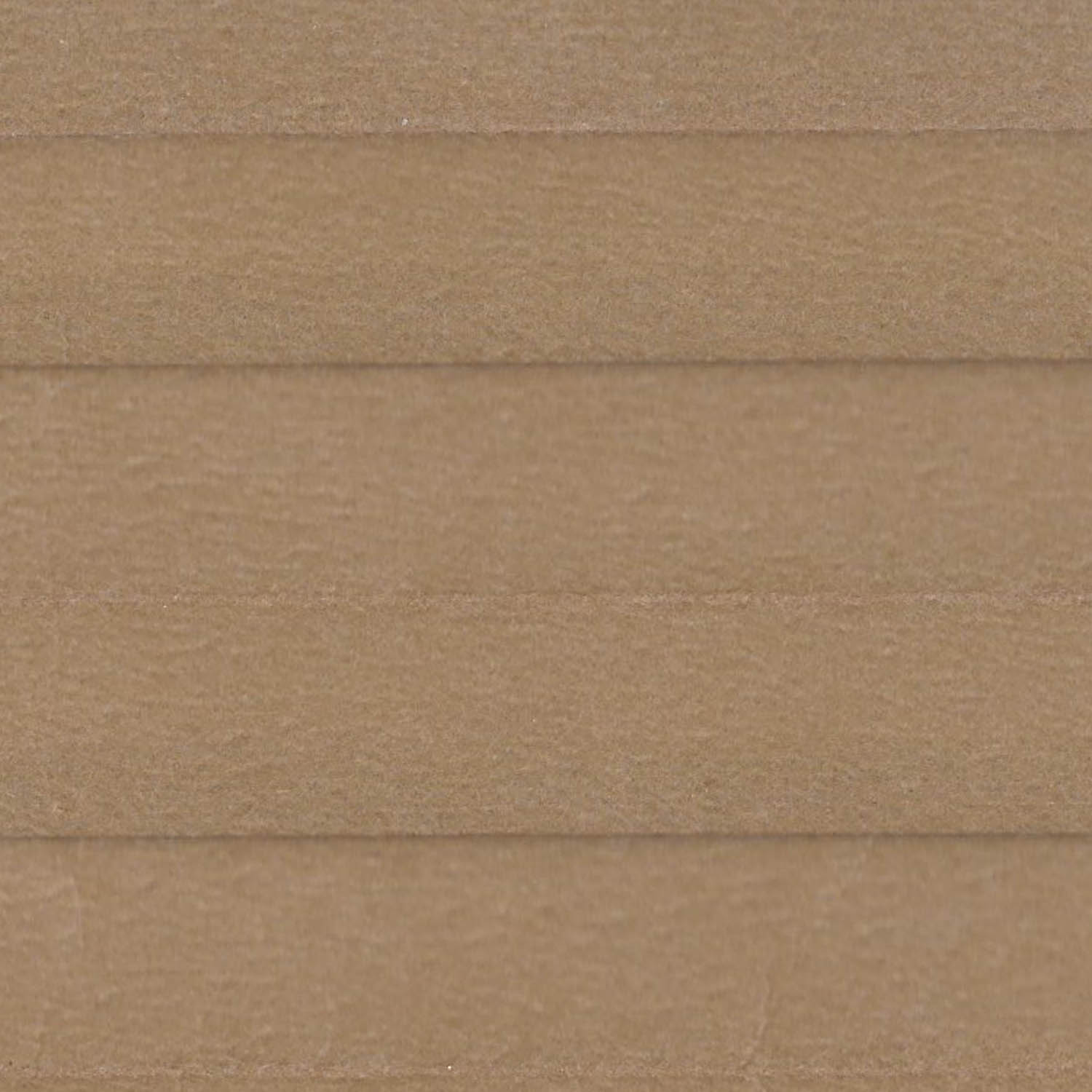 Corkwood