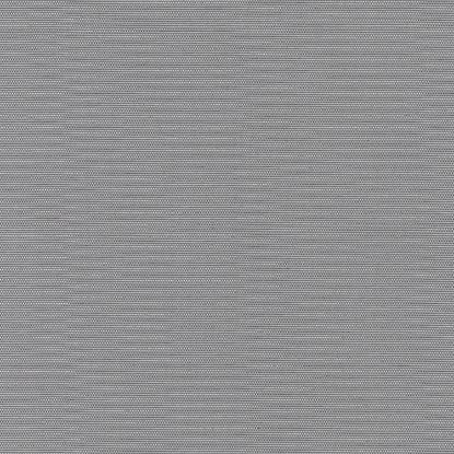 Shadowy Grey