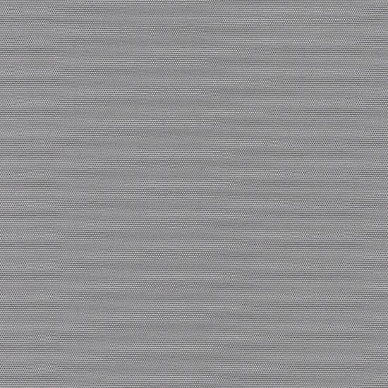 Shadowy Grey