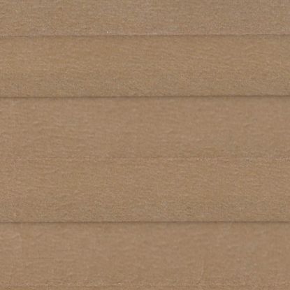 Corkwood