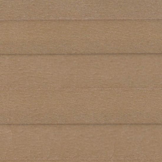 Corkwood